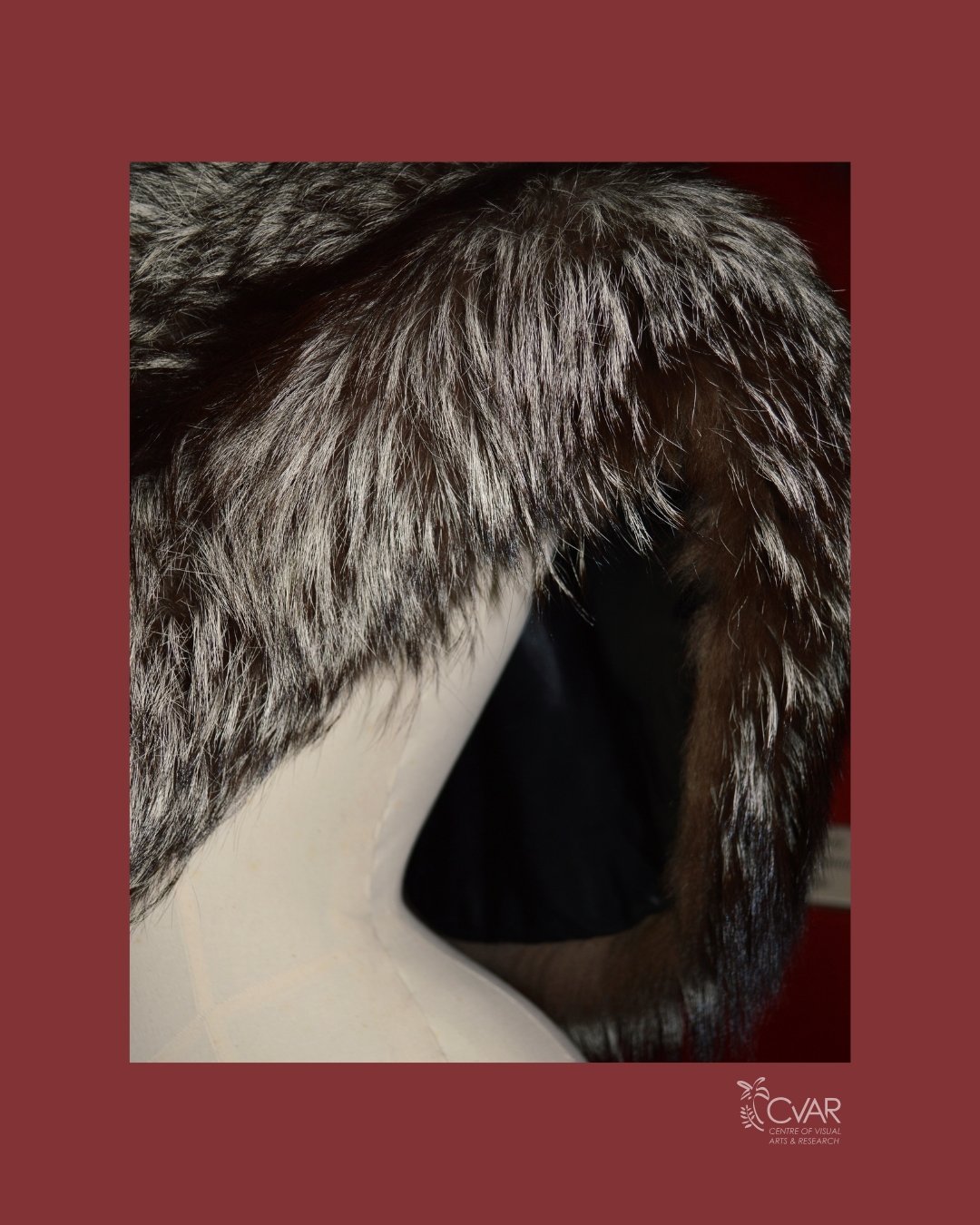 AUG Fur 3.jpg