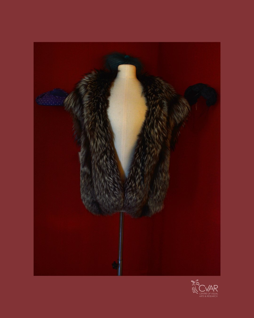 AUG Fur 4.jpg