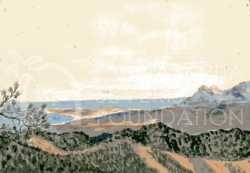 PNT-00822 website.jpg