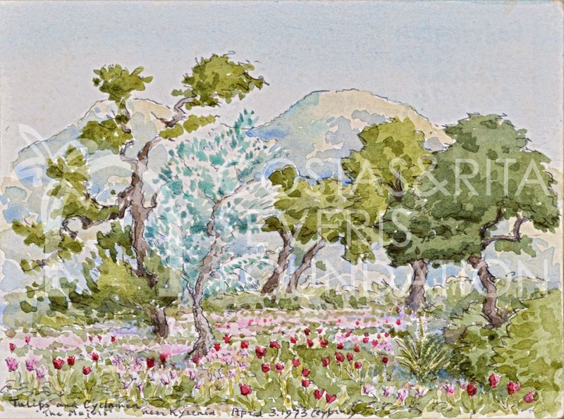 Tulips website.jpg