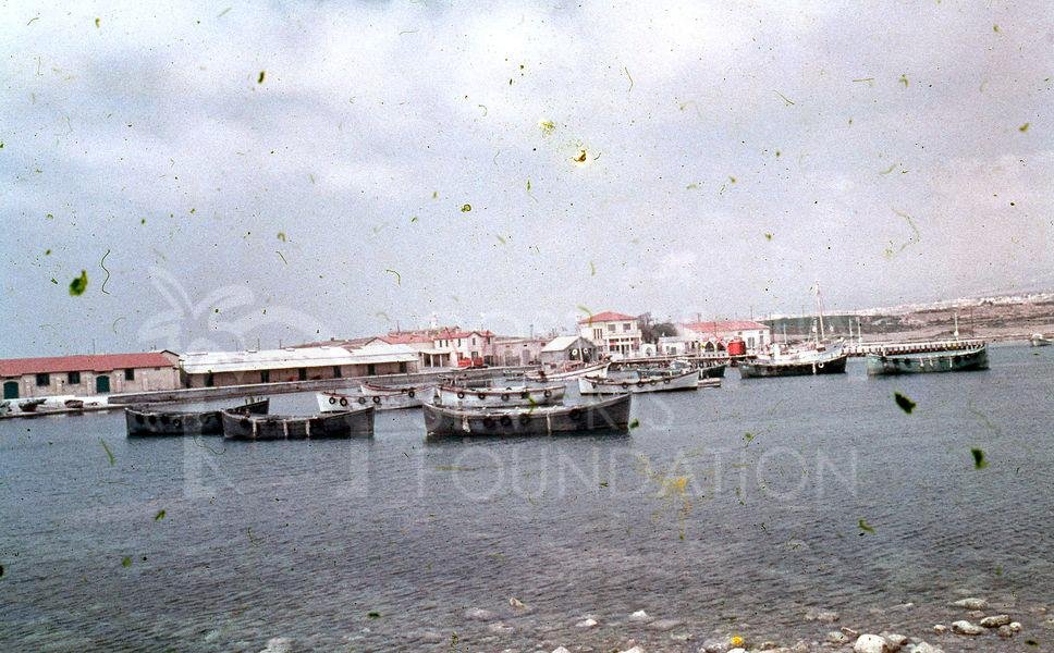 Paphos Harbour-pht_12721