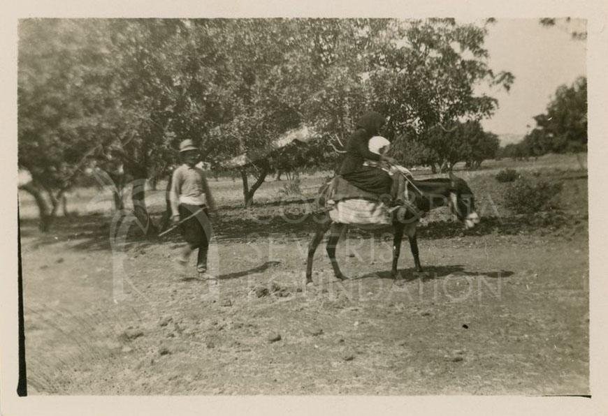Cypriot family with a donkey-pht_CP_0086