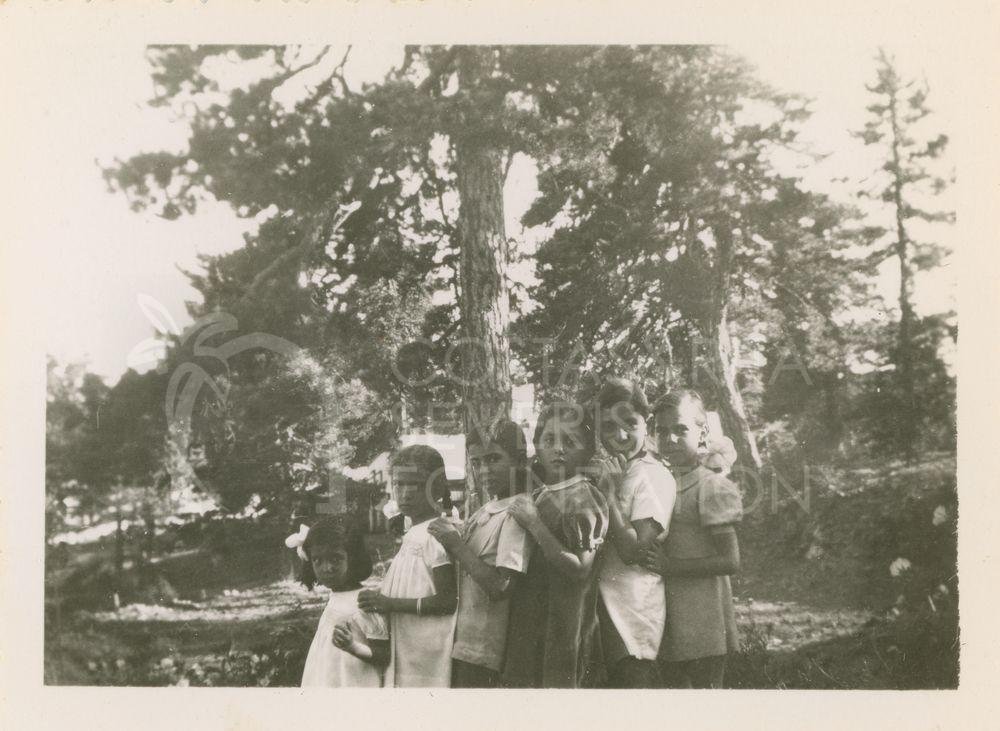 Children in the woods-pht_CP_0168