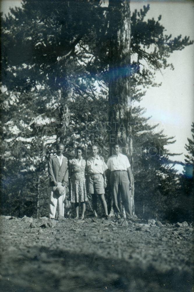 Group in the forest-pht_CP_0263
