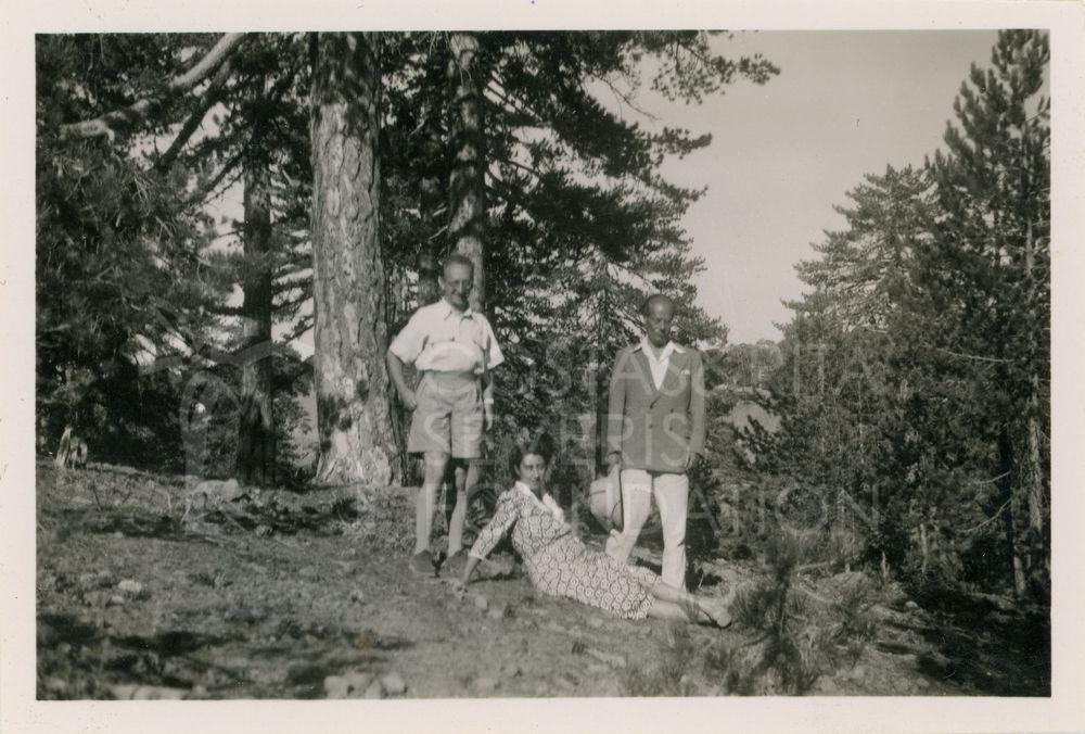 Group in the forest-pht_CP_0264