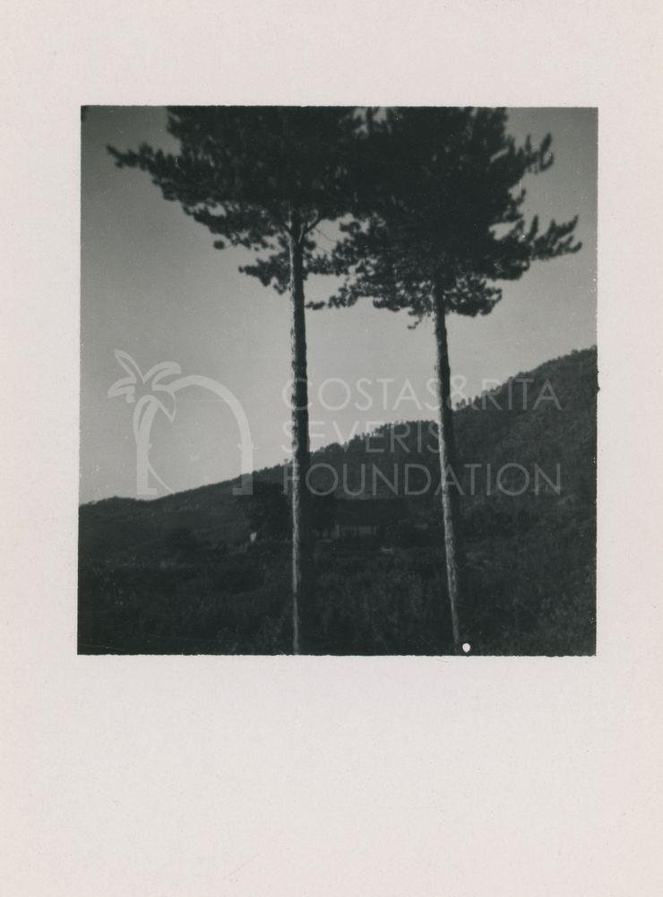 Mountain view-pht_CP_0292