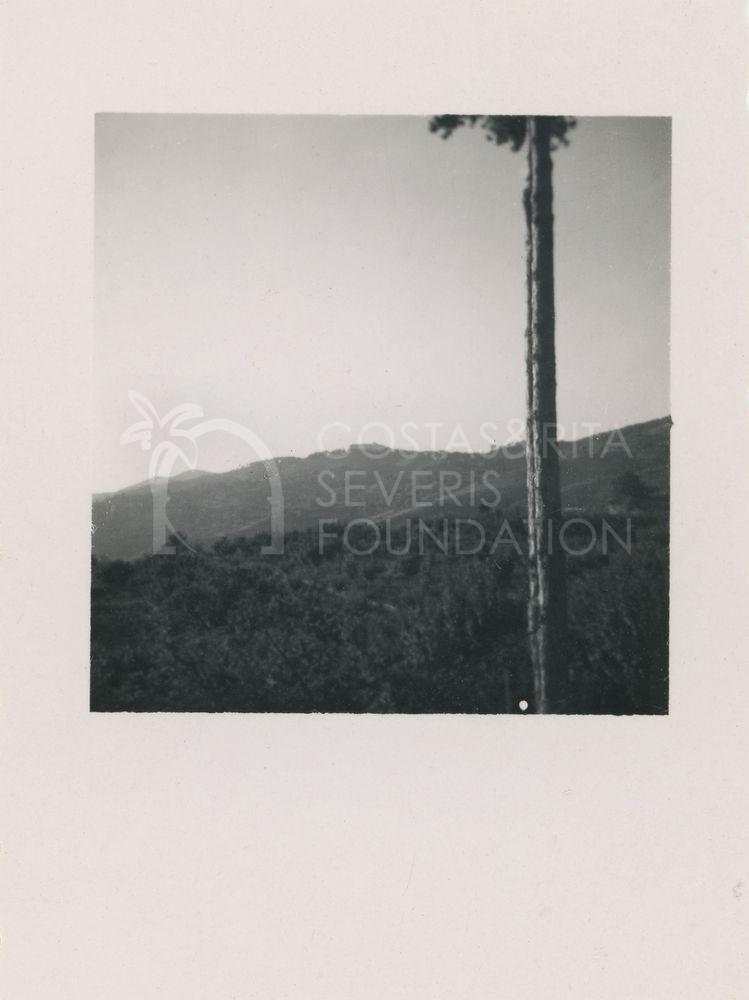 Mountain view-pht_CP_0293