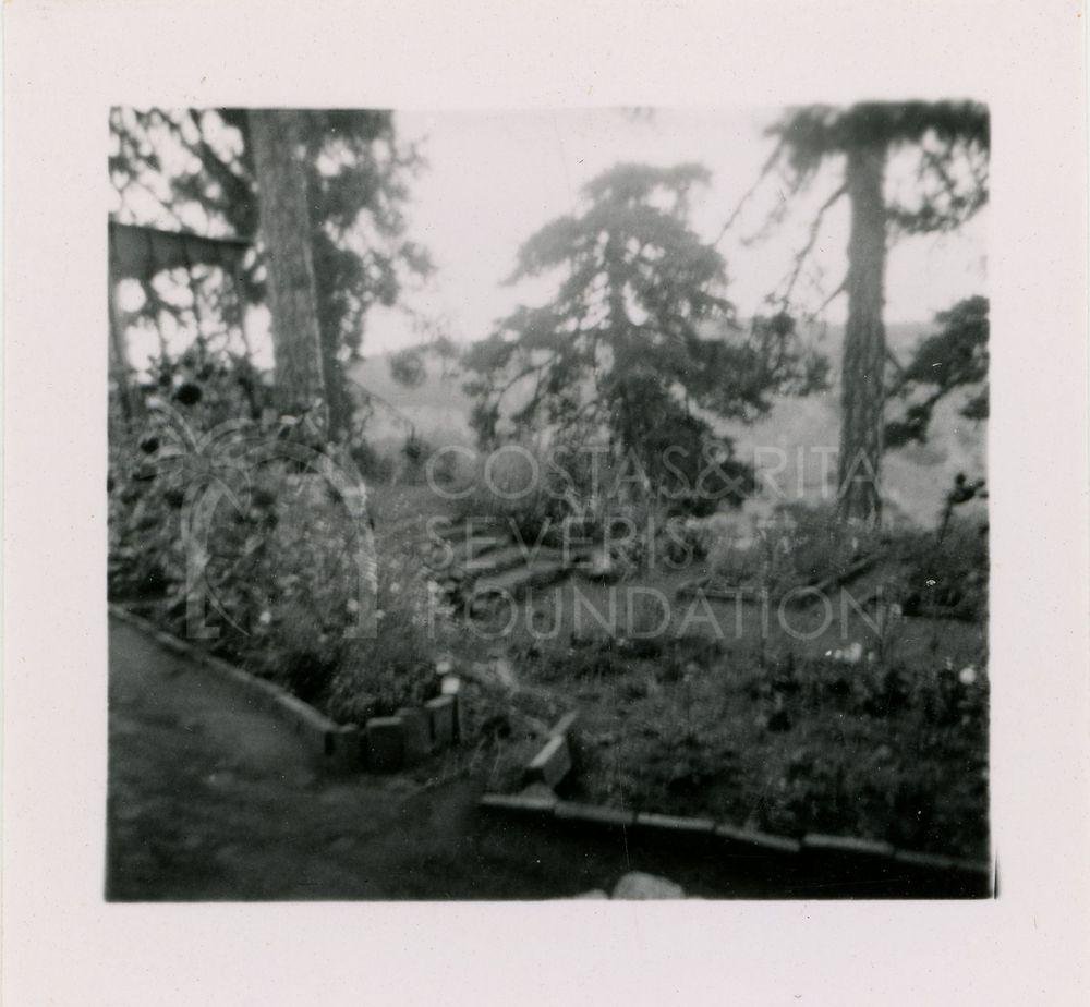 Garden-pht_CP_0302
