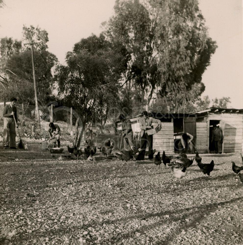 The “Hen House” during wartime-pht_ES_0057