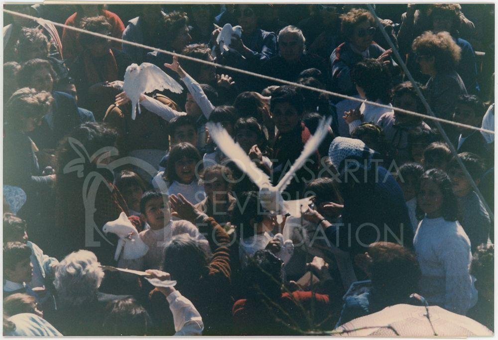 White doves-pht_ETC_00303