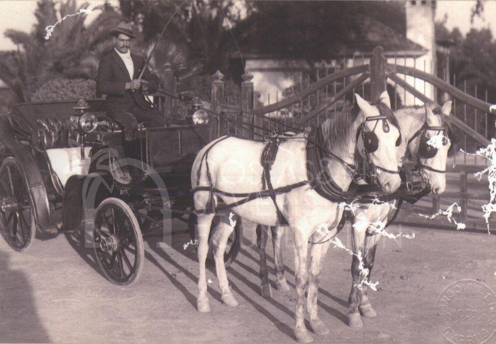 CVAR | Man driving a cart with horses in Nicosia