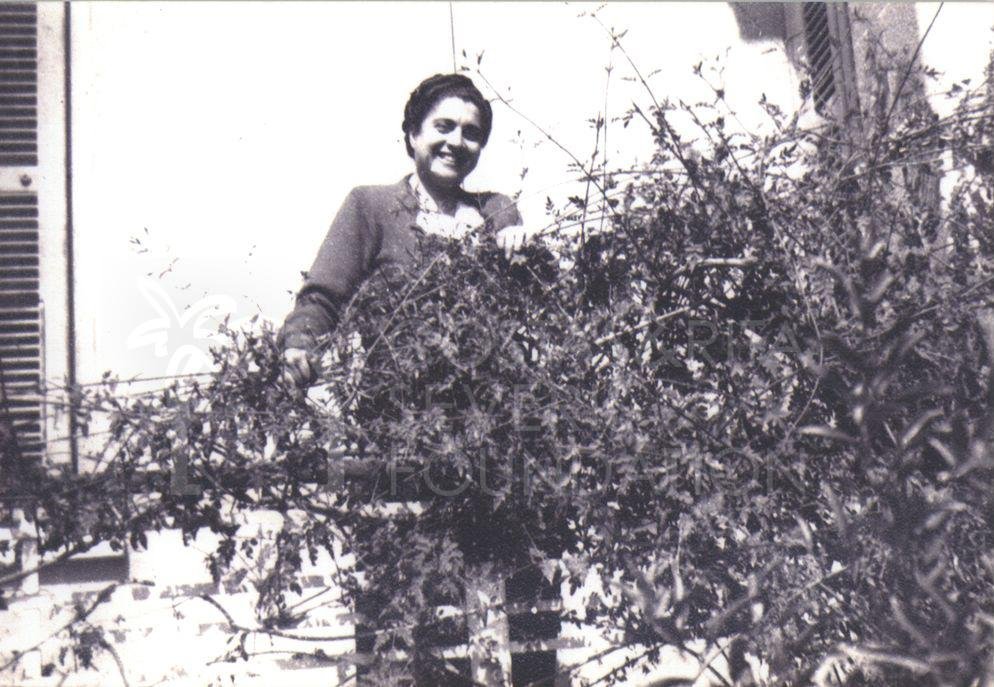 Loulou Stivadorou-pht_LS_0077