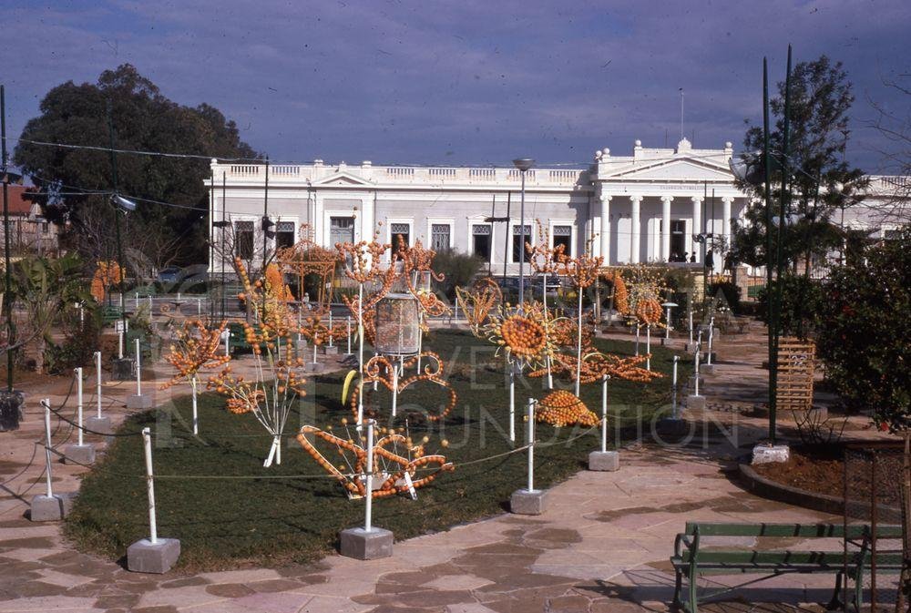 Orange festival in Varosha-pht_TEB_0020