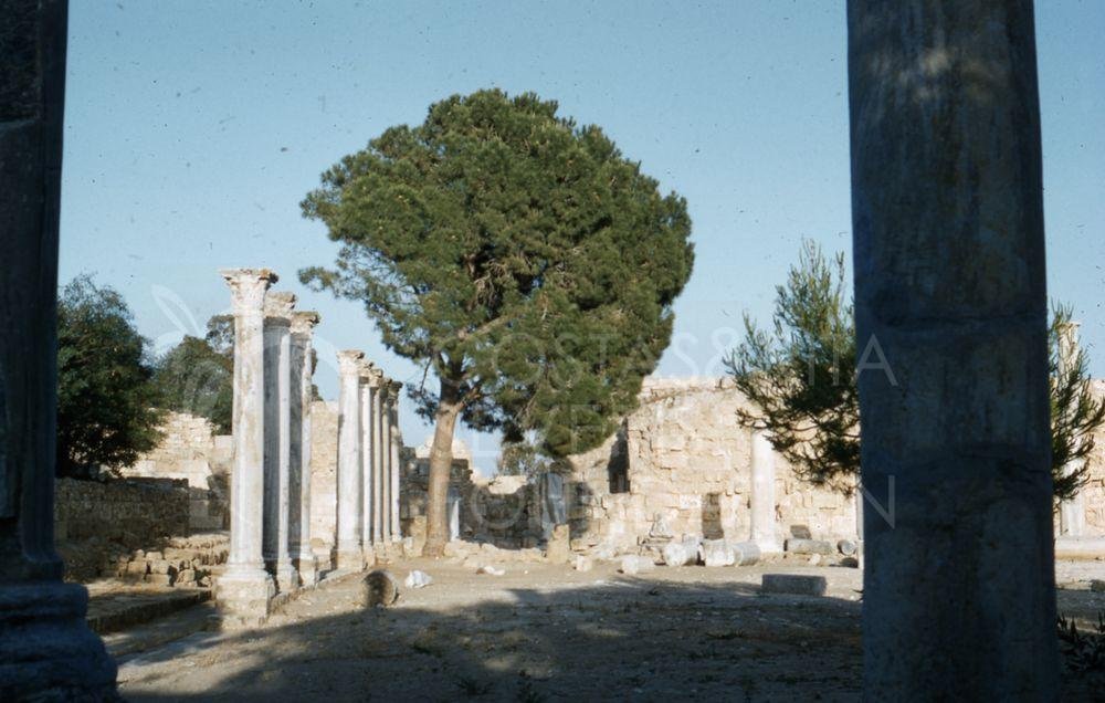 Salamis-pht_TEB_0024