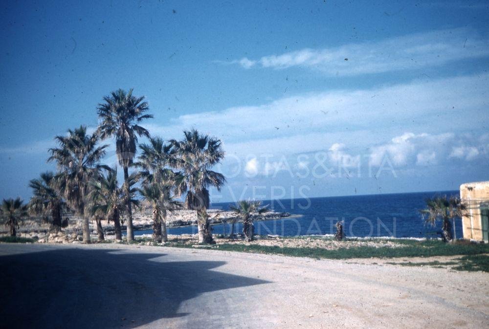 Coastal road Karpas-pht_TEB_0027