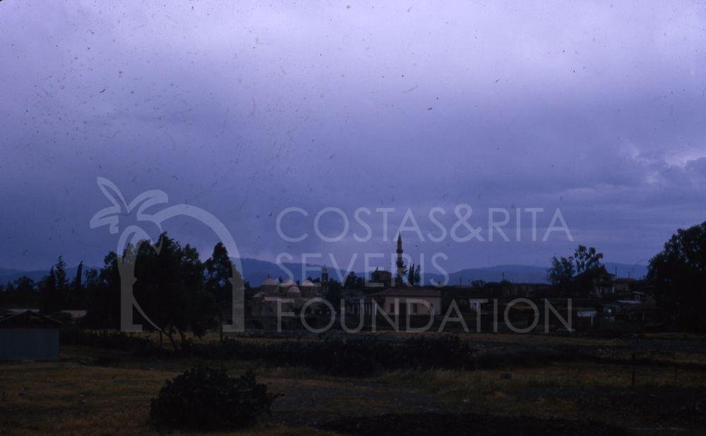 Peristerona-pht_TEB_0061