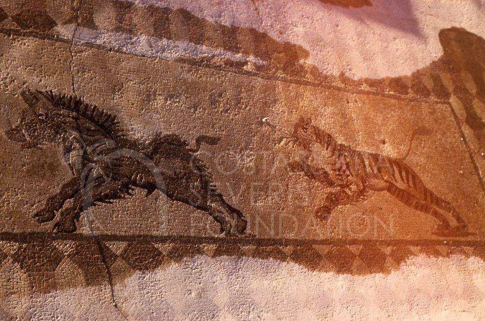 Mosaic at Paphos Archaeological Park-pht_TEB_0083