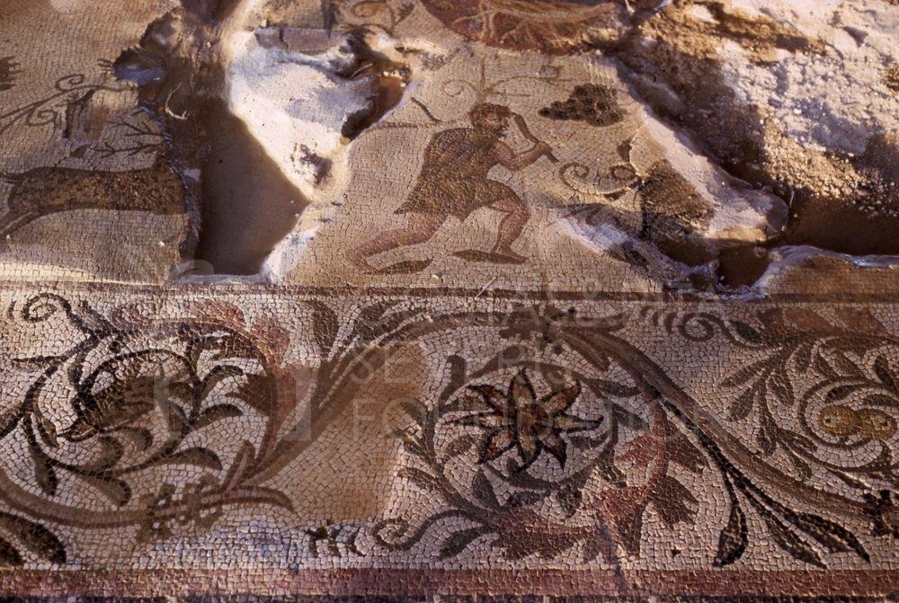 Mosaic at Paphos Archaeological Park-pht_TEB_0085
