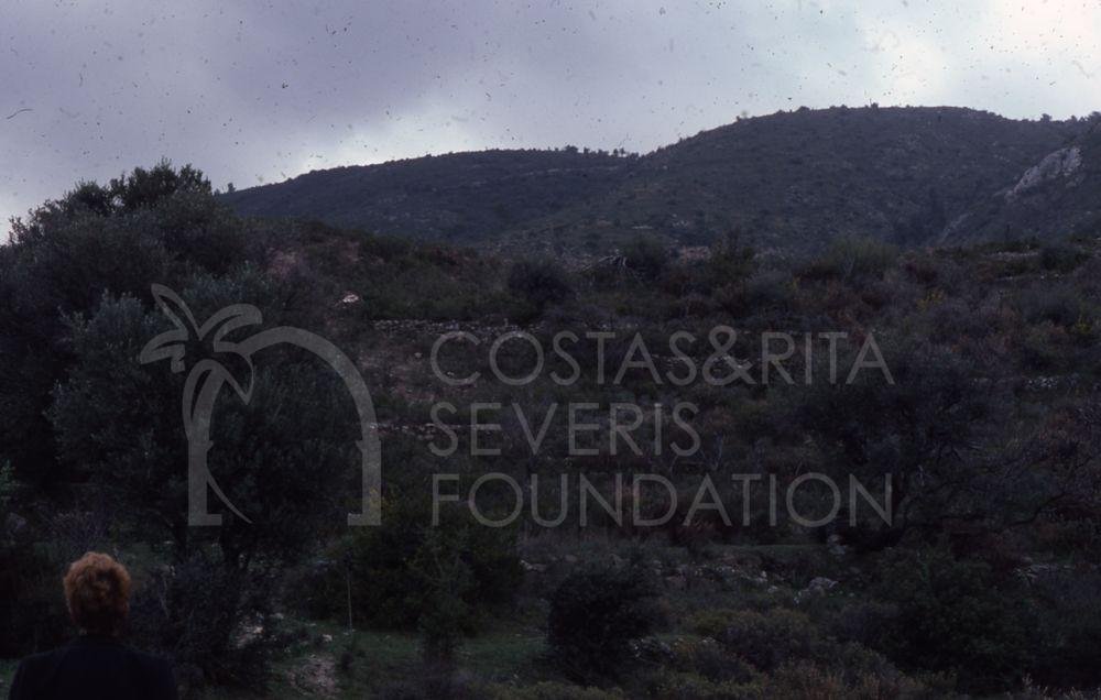 Terraced hillside  -pht_TEB_0161