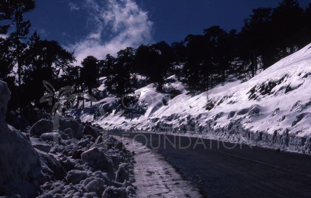 Snow in Troodos-pht_TEB_0191