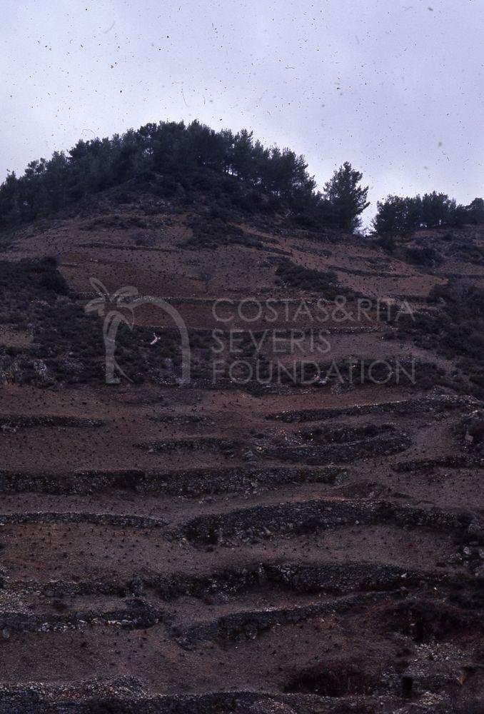 Terraced hillside-pht_TEB_0194