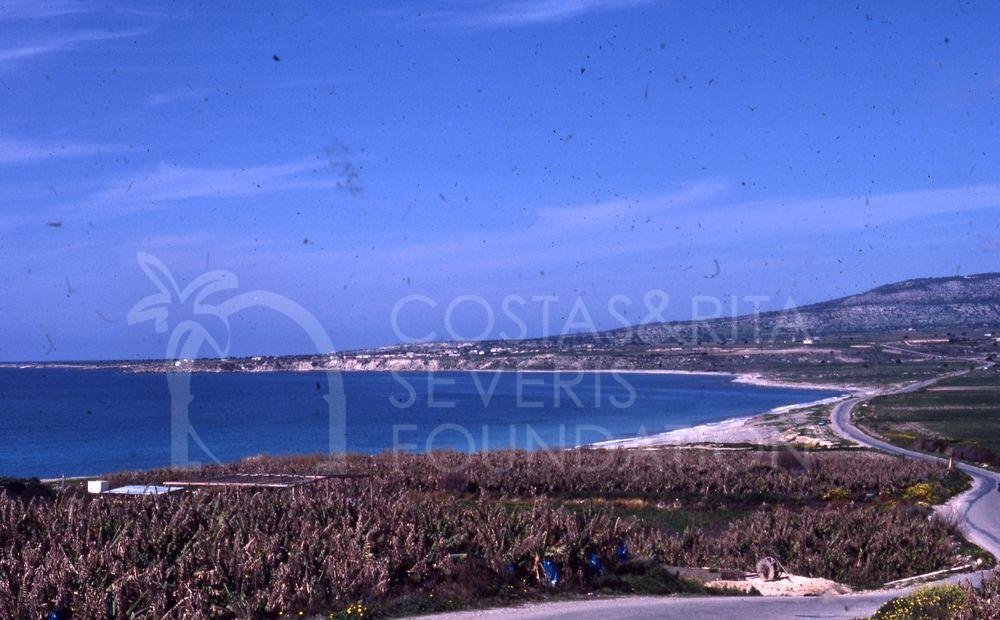 Banana grove-pht_TEB_0214