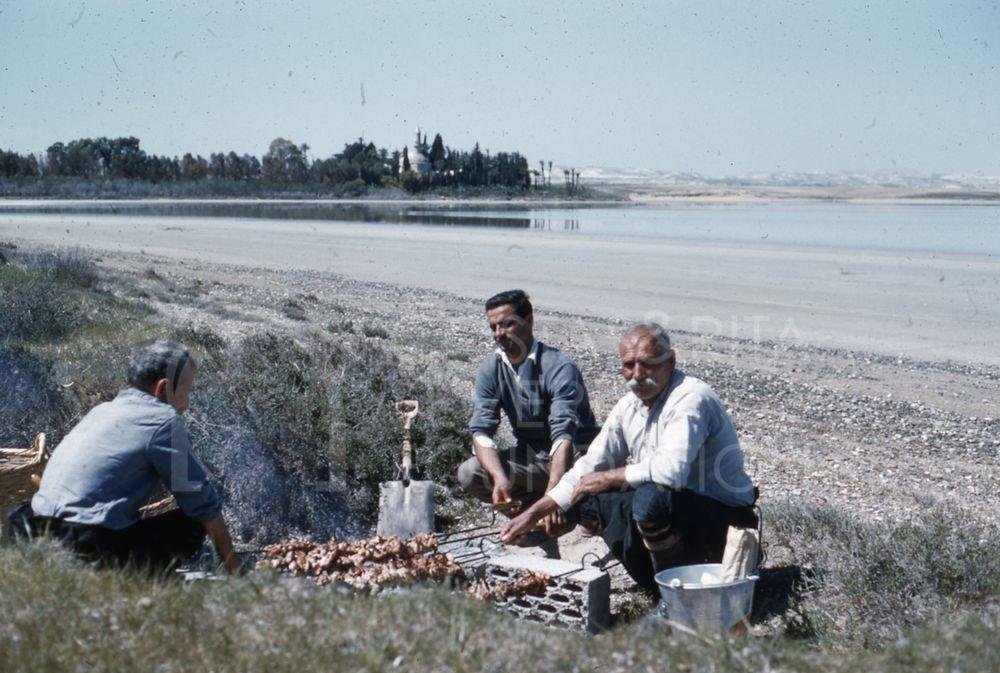 Picnic at Larnaca Salt Lake-pht_TEB_0260