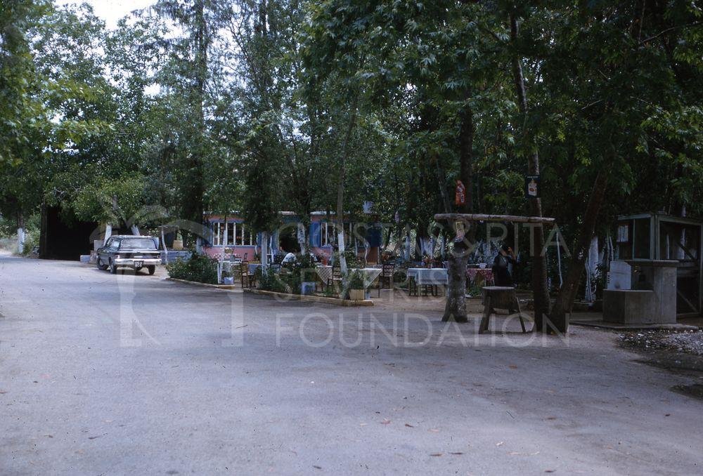 Troodos road-pht_TEB_0425
