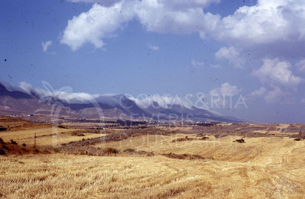 Yellow fields-pht_TEB_0451